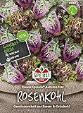 Kohlsamen - Rosenkohl Flower Sprout Autumn Star von Sperli-Samen Foto, neu 2024, bester Preis 7,49 € Rezension