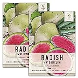 Seed Needs, Watermelon Radish (Raphanus sativus) Twin Pack of 500 Seeds Each Non-GMO Photo, new 2024, best price $7.99 review