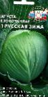 foto Il cavolo la cultivar Russkaya zima F1