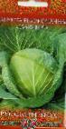 Photo Cabbage grade Slavyanka 