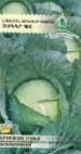 Photo Cabbage grade Polar f1