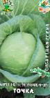 Photo Cabbage grade Tochka
