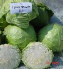 Photo Cabbage grade Grin flesh F1