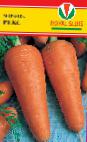foto La carota la cultivar Rojjal Reks
