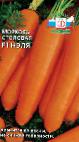 foto La carota la cultivar Nehlya F1