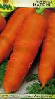 Photo une carotte l'espèce Katrin