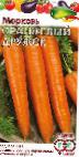 foto La carota la cultivar Oranzhevyjj druzhok