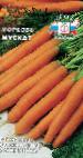 kuva Porkkana laji Muskat