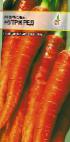 Foto Zanahoria variedad Nutri red