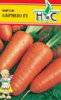 foto La carota la cultivar Abrino f1