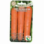 foto La carota la cultivar Nezhenka