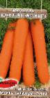 foto La carota la cultivar Nou Flajj F1