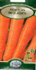foto La carota la cultivar Vita Longa
