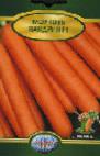 foto La carota la cultivar Nandrin F1