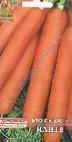 foto La carota la cultivar Nante