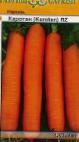 kuva Porkkana laji Karotan