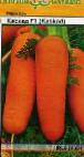 foto La carota la cultivar Kaskad F1