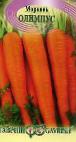 foto La carota la cultivar Olimpus