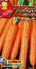 Photo une carotte l'espèce Nantskaya 2 Tip Top
