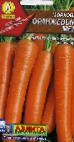 foto La carota la cultivar Oranzhevyjj med