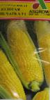 kuva maissi laji Zolotaya pechatka F1