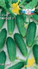 foto I cetrioli la cultivar Mizer F1