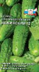 Photo Cucumbers grade Nezhinskijj-12