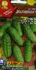Photo Cucumbers grade Domovenok F1