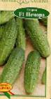 Photo Cucumbers grade Pechora F1
