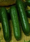Photo Cucumbers grade Princ F1