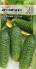 foto I cetrioli la cultivar Druzhina F1