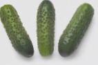 Photo Cucumbers grade Karaoke F1