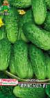Photo Cucumbers grade Chernomor F1 