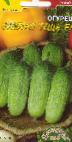 Photo Cucumbers grade Zolotaya teshha F1
