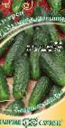 Photo Cucumbers grade Malyshok-krepyshok F1