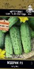 Photo Cucumbers grade Bodrik F 1