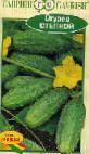 Photo Cucumbers grade Stepnojj