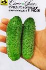 Photo Cucumbers grade Risan F1