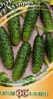 Photo Cucumbers grade  Khutorok F1 