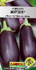 Photo Eggplant grade Murzik 