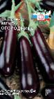 Photo Eggplant grade Mechta ogorodnika