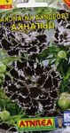 Dianthus, Hiina Autode Peale