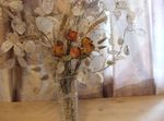 Foto Dārza Ziedi Nauda Augs, Godīgums, Bolbonac, Moonwort, Sudraba Dolārs (Lunaria), balts