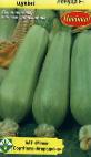 foto Le zucchine la cultivar Lenuca F1