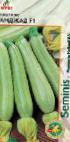 foto Le zucchine la cultivar Amdzhad F1