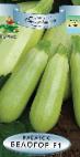 foto Le zucchine la cultivar Belogor F1 
