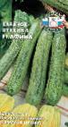 foto Le zucchine la cultivar Afina F1