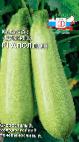 foto Le zucchine la cultivar Apollon F1
