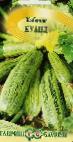 Photo Courgettes grade Kuand