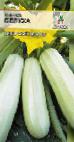 foto Le zucchine la cultivar Belukha